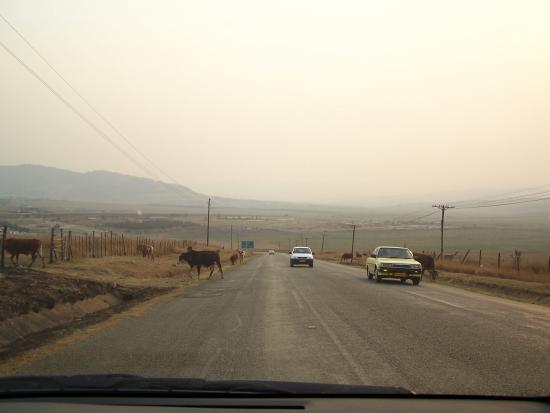 swaziland-004